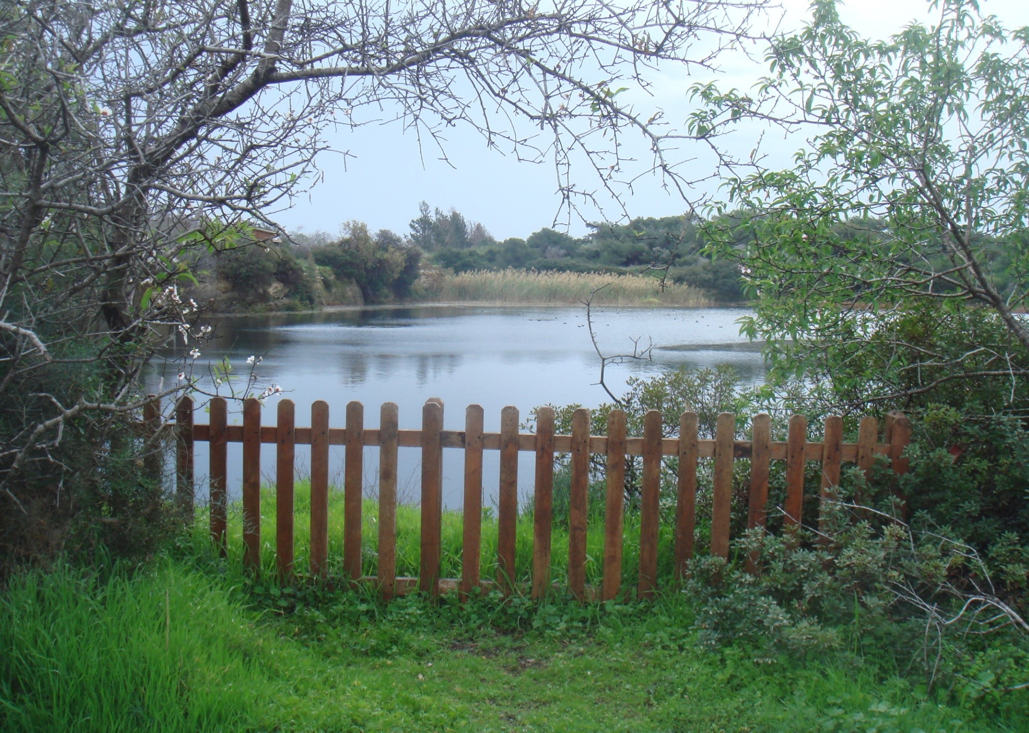 Despotiki Lake, CYCERE, Akrotiri, Limassol, Cyprus