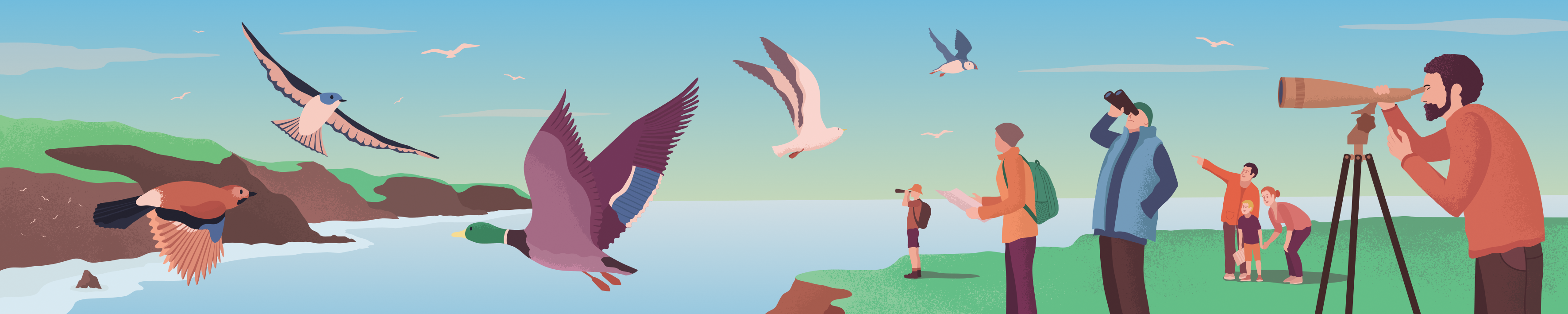 A drawing of people at the coast standing on a cliff top watching birds